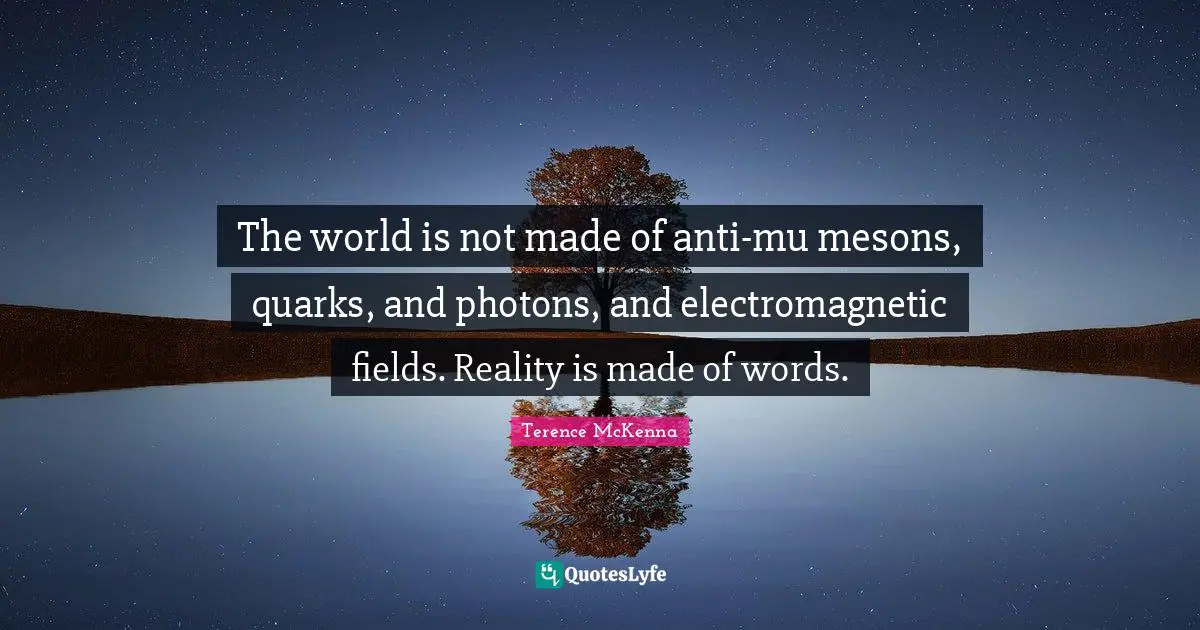 The world is not made of anti-mu mesons, quarks, and photons, and electromagnetic fields. Reality is made of words.