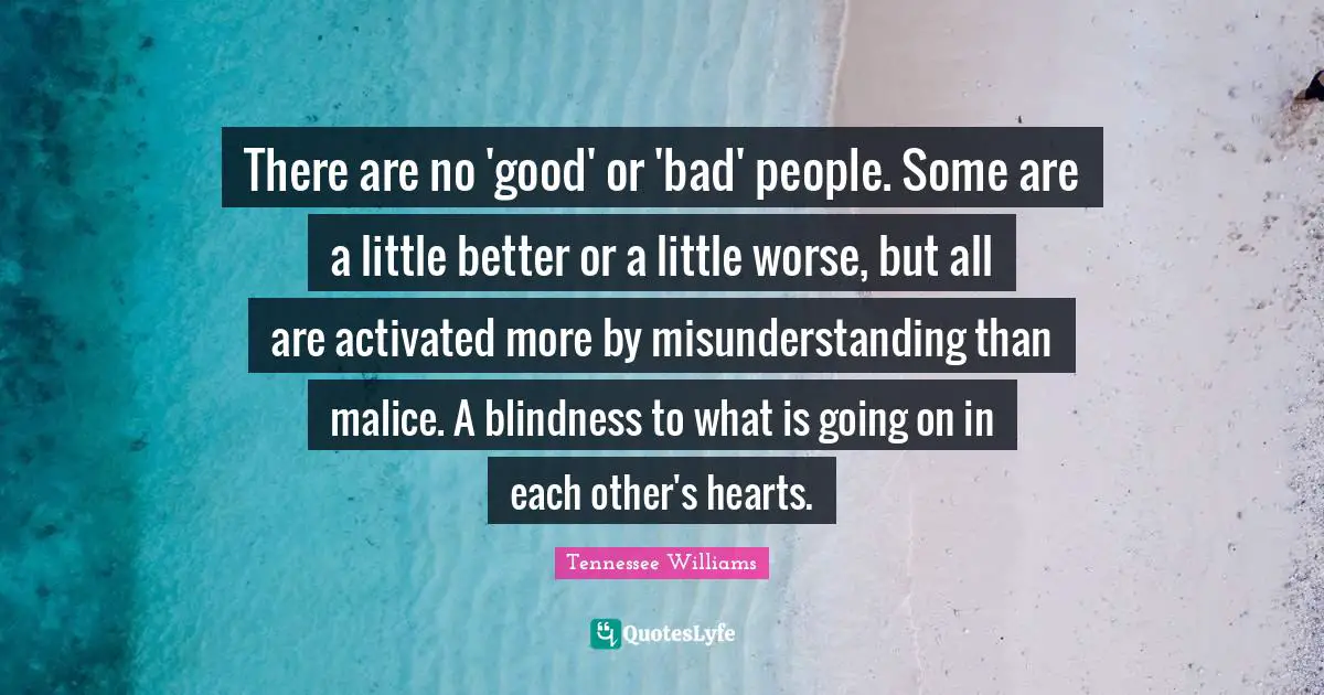 There are no 'good' or 'bad' people. Some are a little better or a little worse, but all are activated more by misunderstanding than malice. A blindness to what is going on in each other's hearts.