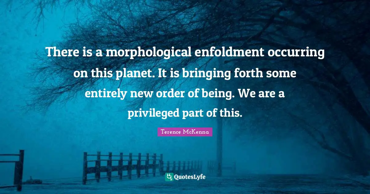 There is a morphological enfoldment occurring on this planet. It is bringing forth some entirely new order of being. We are a privileged part of this.