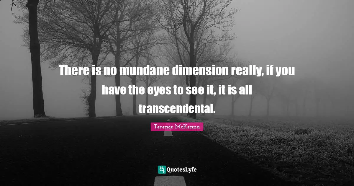 There is no mundane dimension really, if you have the eyes to see it, it is all transcendental.