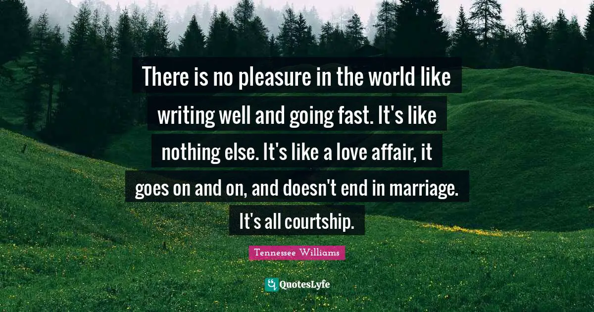 There is no pleasure in the world like writing well and going fast. It's like nothing else. It's like a love affair, it goes on and on, and doesn't end in marriage. It's all courtship.