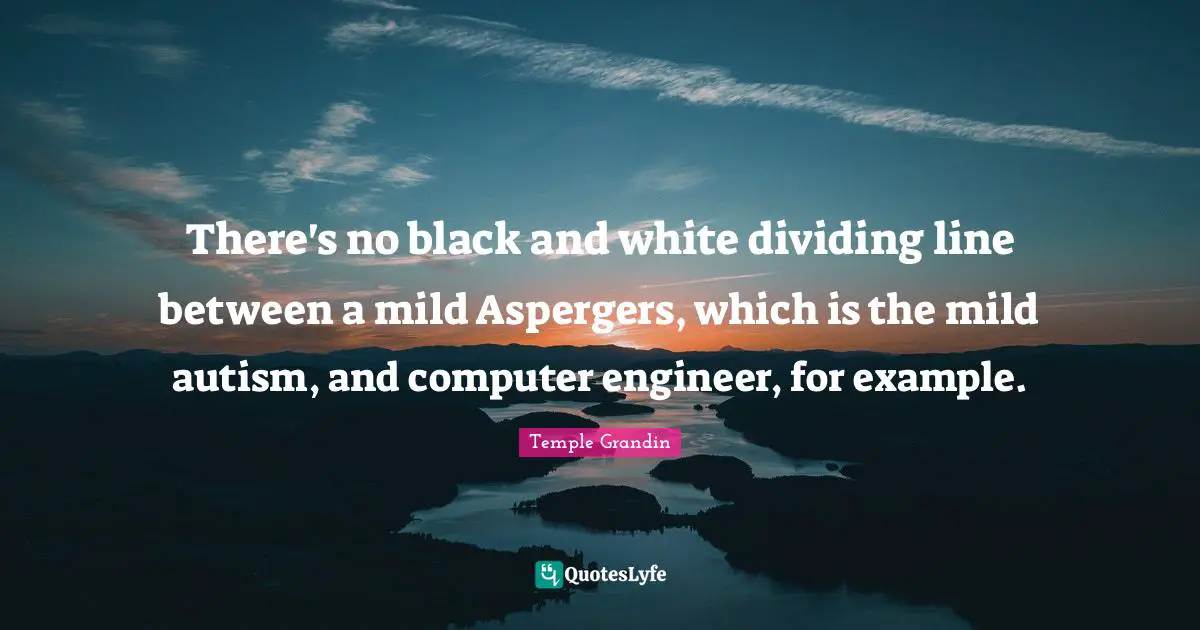 Dividing Quotes: "There's no black and white dividing line between a mild Aspergers, which is the mild autism, and computer engineer, for example."