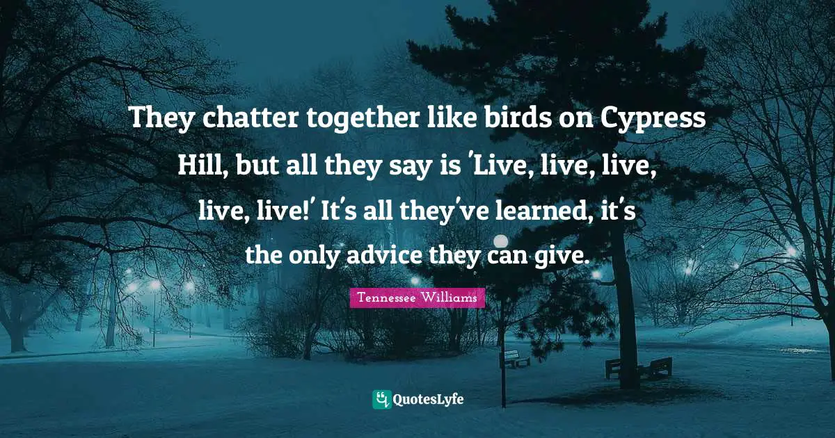 They chatter together like birds on Cypress Hill, but all they say is 'Live, live, live, live, live!' It's all they've learned, it's the only advice they can give.