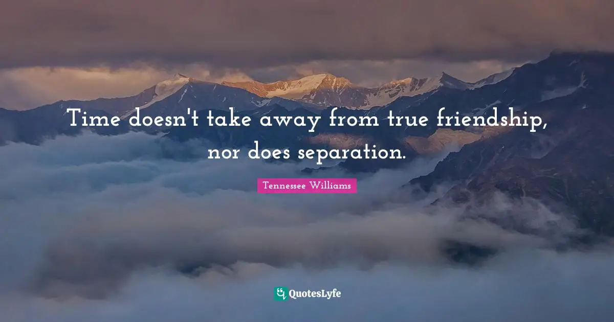 True Friendship Quotes: "Time doesn't take away from true friendship, nor does separation."