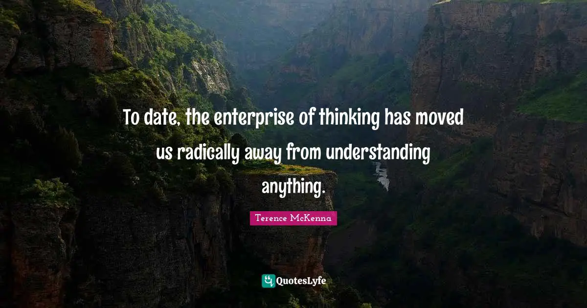 To date, the enterprise of thinking has moved us radically away from understanding anything.