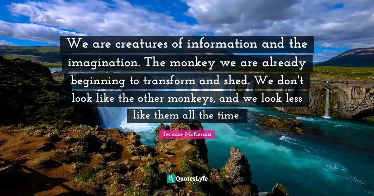 We are creatures of information and the imagination. The monkey we are already beginning to transform and shed. We don't look like the other monkeys, and we look less like them all the time.