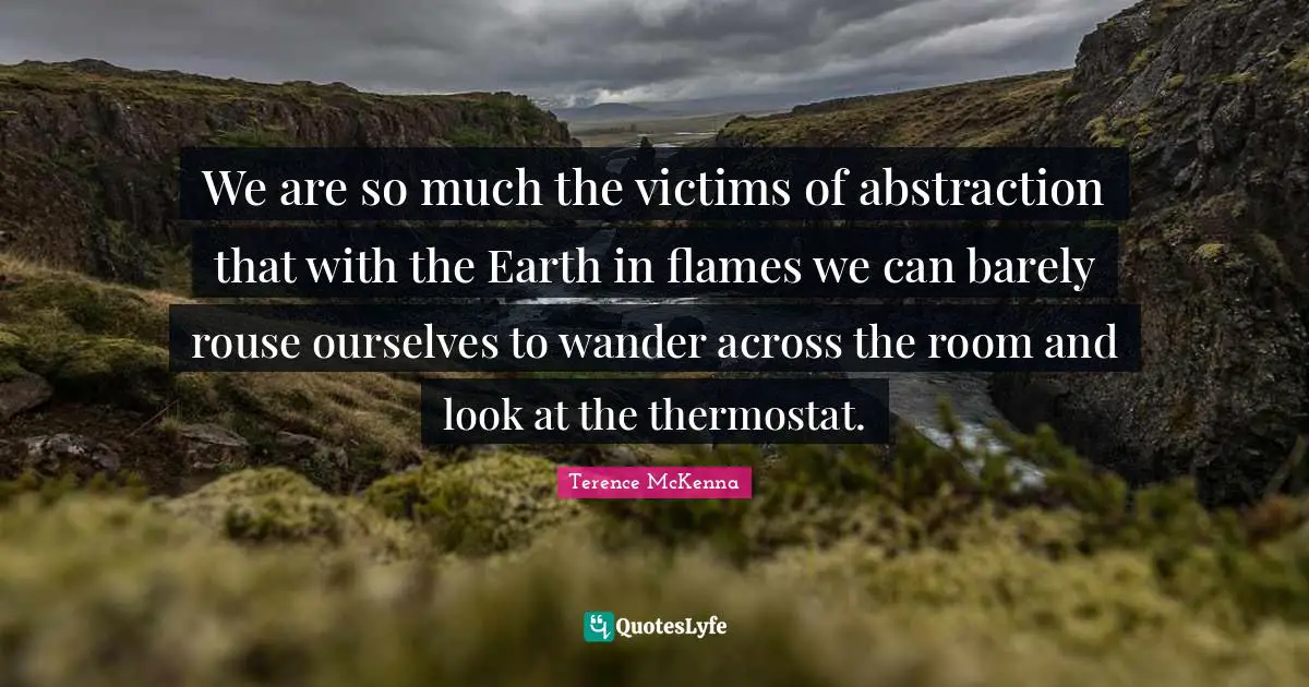 Abstraction Quotes: "We are so much the victims of abstraction that with the Earth in flames we can barely rouse ourselves to wander across the room and look at the thermostat."