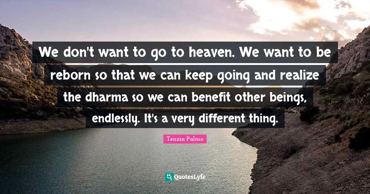 We don't want to go to heaven. We want to be reborn so that we can keep going and realize the dharma so we can benefit other beings, endlessly. It's a very different thing.