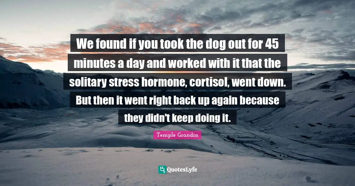We found if you took the dog out for 45 minutes a day and worked with it that the solitary stress hormone, cortisol, went down. But then it went right back up again because they didn't keep doing it.