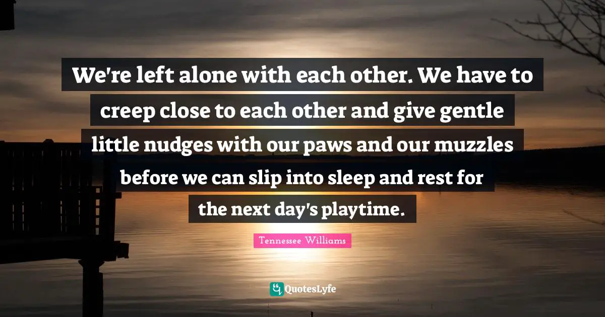 We're left alone with each other. We have to creep close to each other and give gentle little nudges with our paws and our muzzles before we can slip into sleep and rest for the next day's playtime.