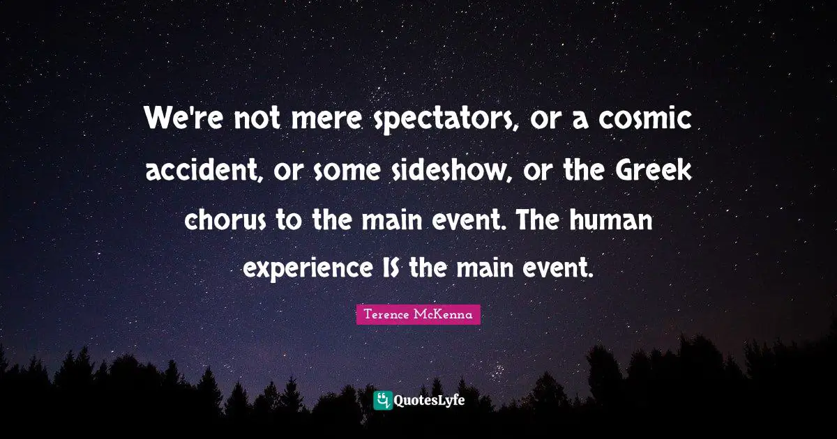 We're not mere spectators, or a cosmic accident, or some sideshow, or the Greek chorus to the main event. The human experience IS the main event.