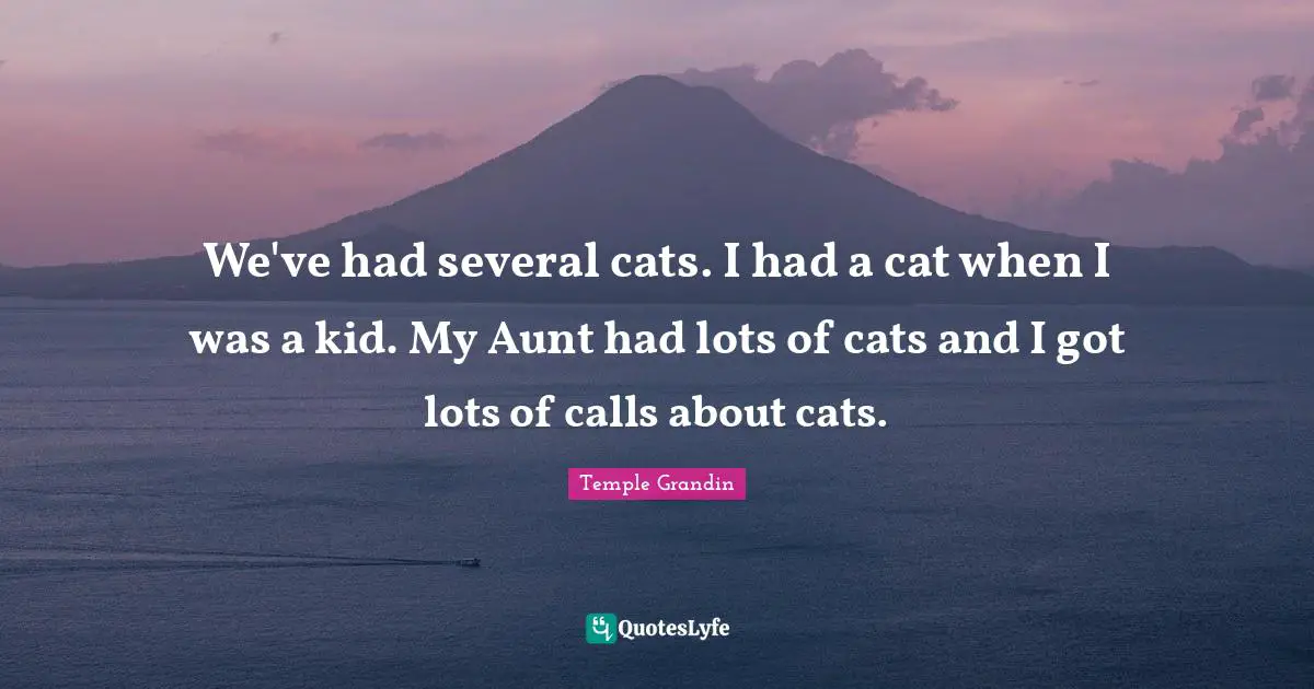 We've had several cats. I had a cat when I was a kid. My Aunt had lots of cats and I got lots of calls about cats.