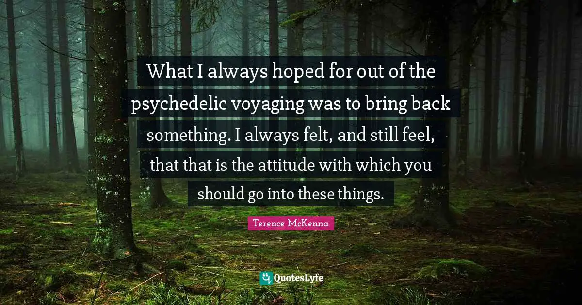 What I always hoped for out of the psychedelic voyaging was to bring back something. I always felt, and still feel, that that is the attitude with which you should go into these things.