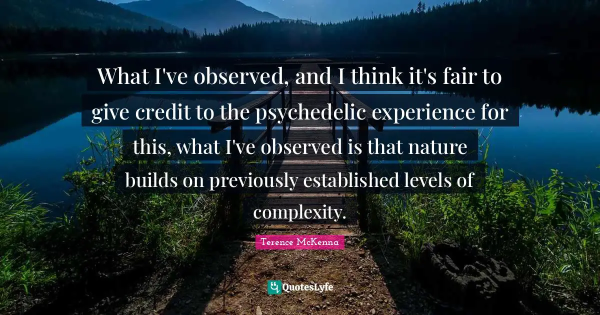 What I've observed, and I think it's fair to give credit to the psychedelic experience for this, what I've observed is that nature builds on previously established levels of complexity.