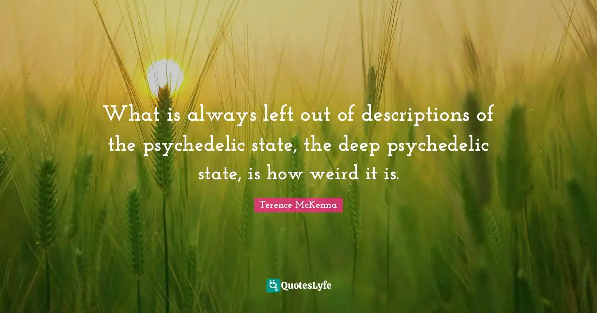 What is always left out of descriptions of the psychedelic state, the deep psychedelic state, is how weird it is.