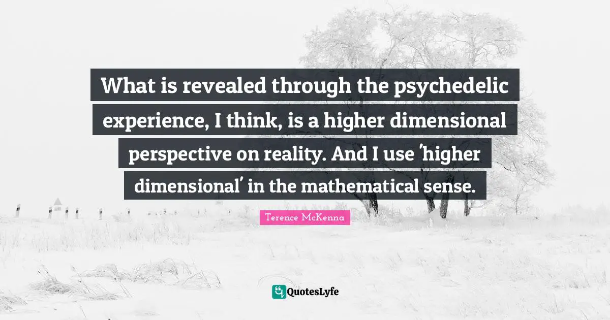What is revealed through the psychedelic experience, I think, is a higher dimensional perspective on reality. And I use 'higher dimensional' in the mathematical sense.