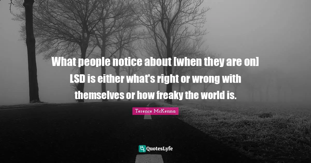 What people notice about [when they are on] LSD is either what's right or wrong with themselves or how freaky the world is.