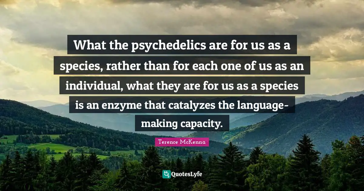 What the psychedelics are for us as a species, rather than for each one of us as an individual, what they are for us as a species is an enzyme that catalyzes the language-making capacity.