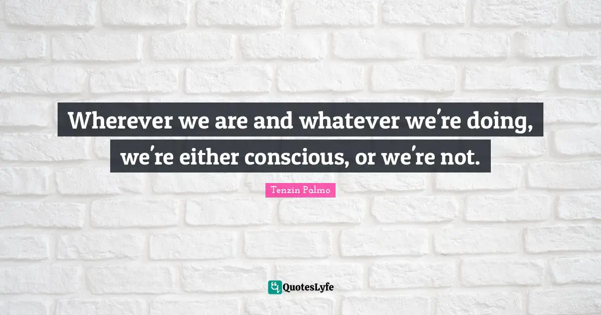 Wherever we are and whatever we're doing, we're either conscious, or we're not.