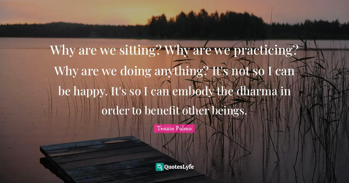 Why are we sitting? Why are we practicing? Why are we doing anything? It's not so I can be happy. It's so I can embody the dharma in order to benefit other beings.
