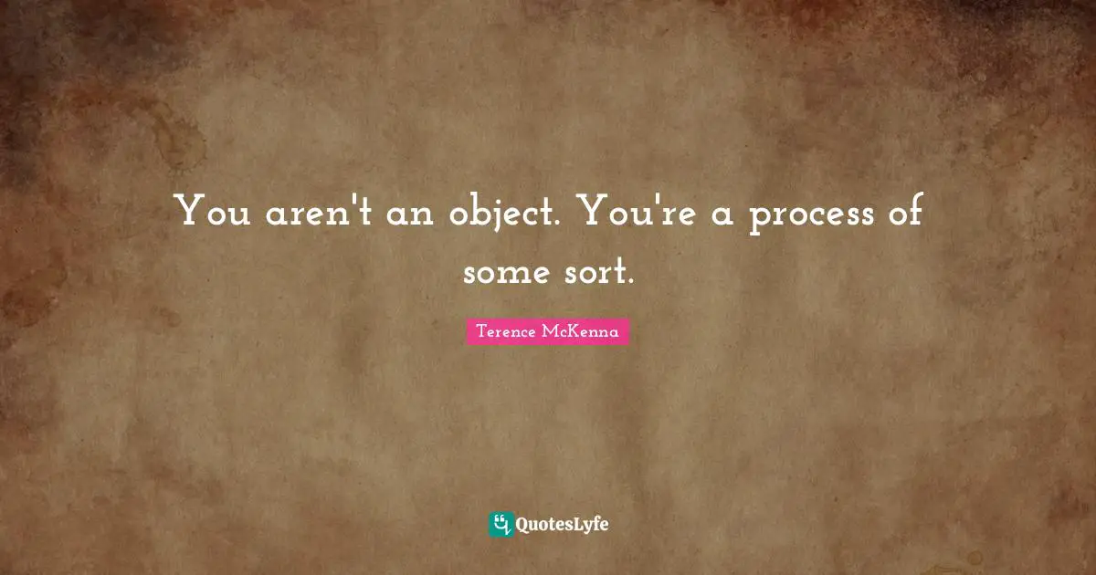 You aren't an object. You're a process of some sort.