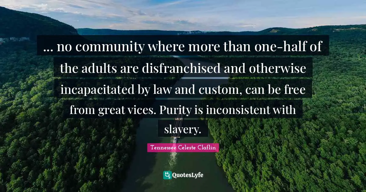 ... no community where more than one-half of the adults are disfranchised and otherwise incapacitated by law and custom, can be free from great vices. Purity is inconsistent with slavery.