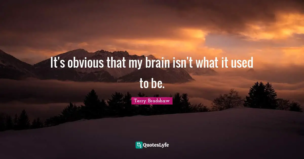 It's obvious that my brain isn't what it used to be.