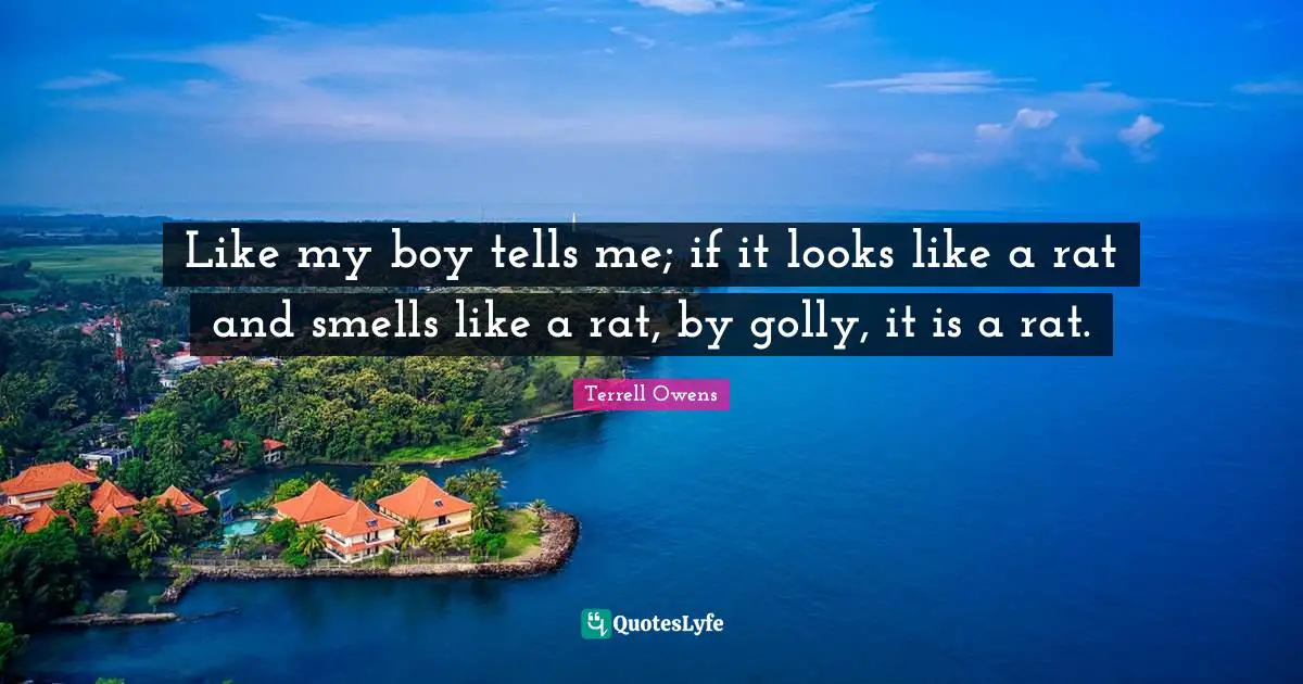 P.M. Terrell Quotes: "Like my boy tells me; if it looks like a rat and smells like a rat, by golly, it is a rat."