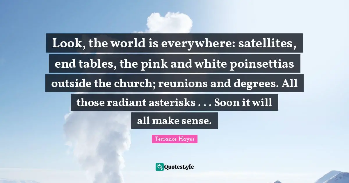 Terrance Hayes Quotes: "Look, the world is everywhere: satellites, end tables, the pink and white poinsettias outside the church; reunions and degrees. All those radiant asterisks . . . Soon it will all make sense."