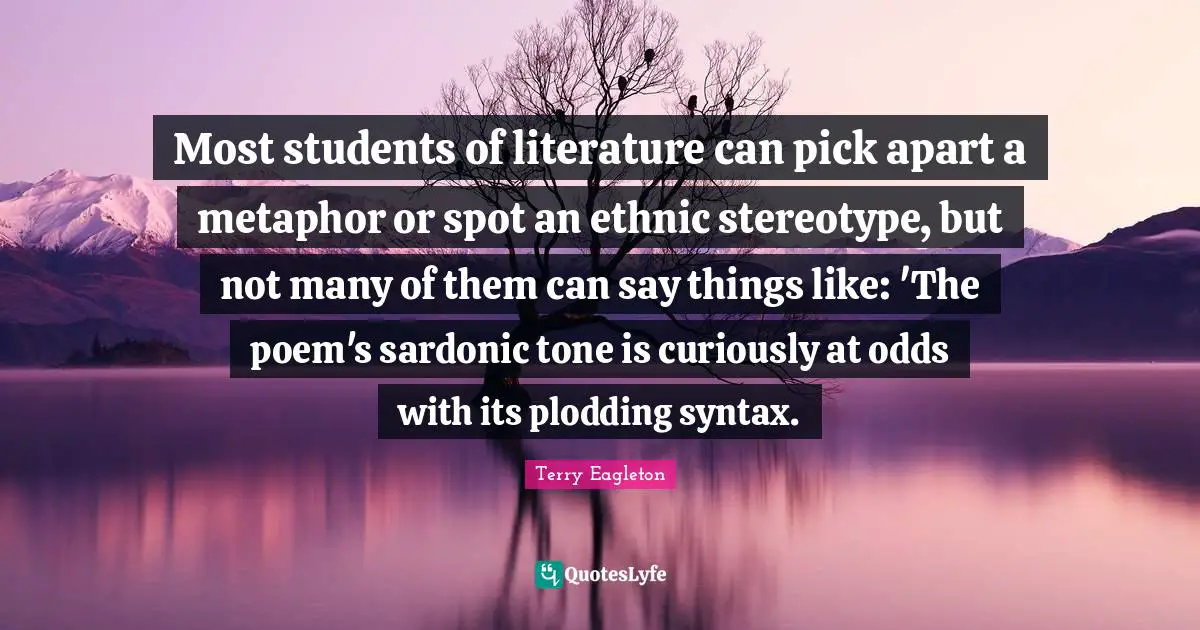 Most students of literature can pick apart a metaphor or spot an ethnic stereotype, but not many of them can say things like: 'The poem's sardonic tone is curiously at odds with its plodding syntax.