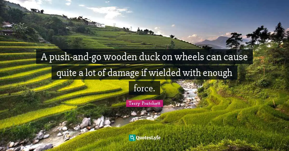 A push-and-go wooden duck on wheels can cause quite a lot of damage if wielded with enough force.