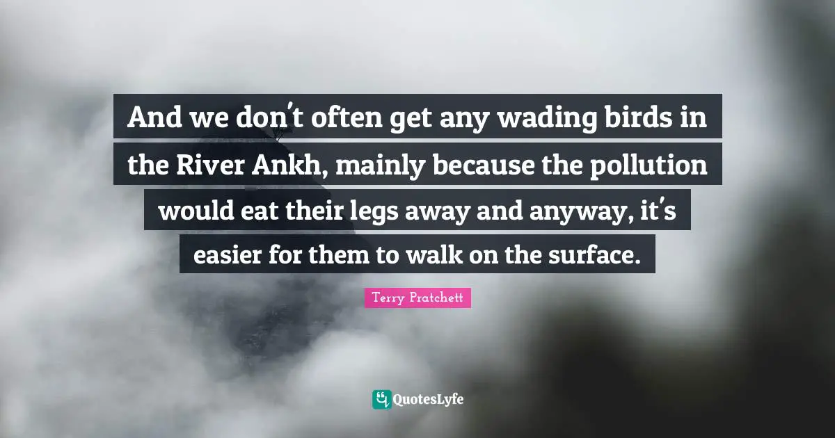 Pollution Quotes: "And we don't often get any wading birds in the River Ankh, mainly because the pollution would eat their legs away and anyway, it's easier for them to walk on the surface."