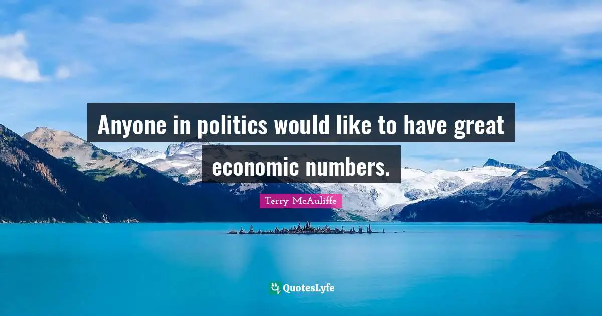 Terry McAuliffe Quotes: "Anyone in politics would like to have great economic numbers."