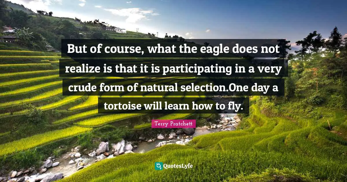 Natural Selection Quotes: "But of course, what the eagle does not realize is that it is participating in a very crude form of natural selection.One day a tortoise will learn how to fly."