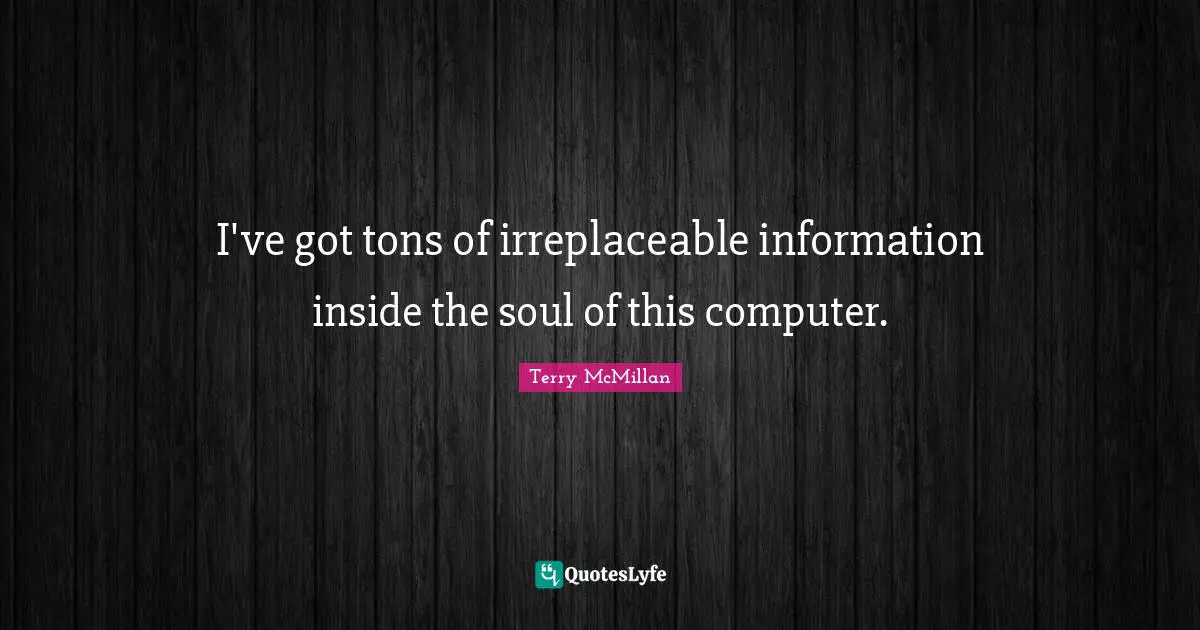 Irreplaceable Quotes: "I've got tons of irreplaceable information inside the soul of this computer."