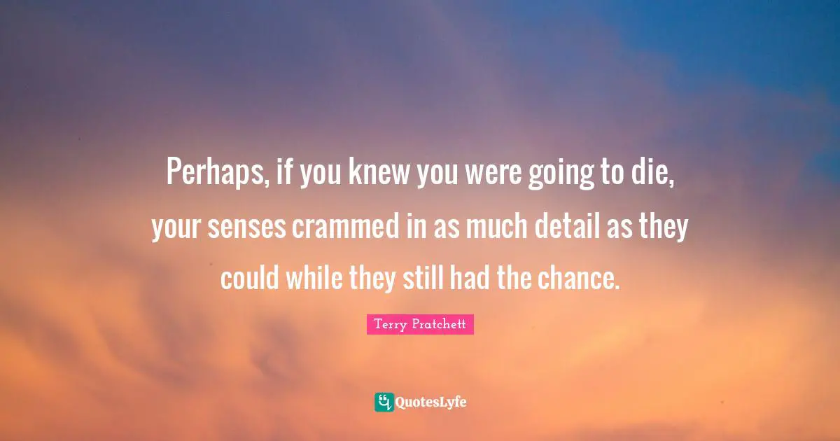 Perhaps, if you knew you were going to die, your senses crammed in as much detail as they could while they still had the chance.