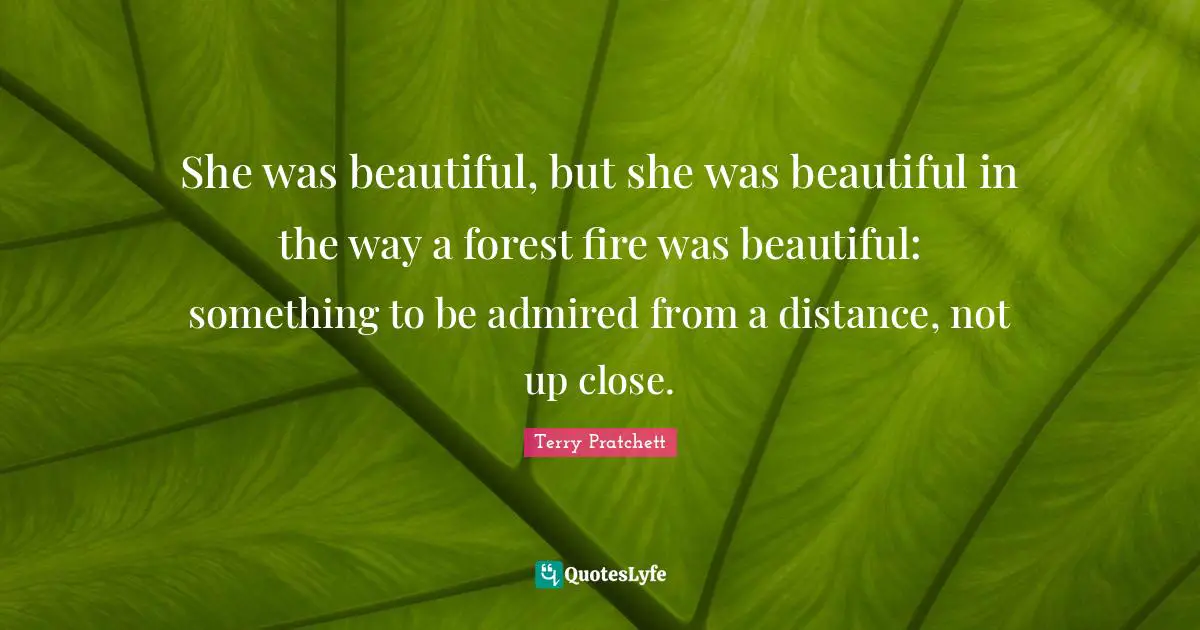 She was beautiful, but she was beautiful in the way a forest fire was beautiful: something to be admired from a distance, not up close.