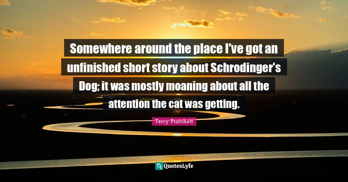 Somewhere around the place I've got an unfinished short story about Schrodinger's Dog; it was mostly moaning about all the attention the cat was getting.
