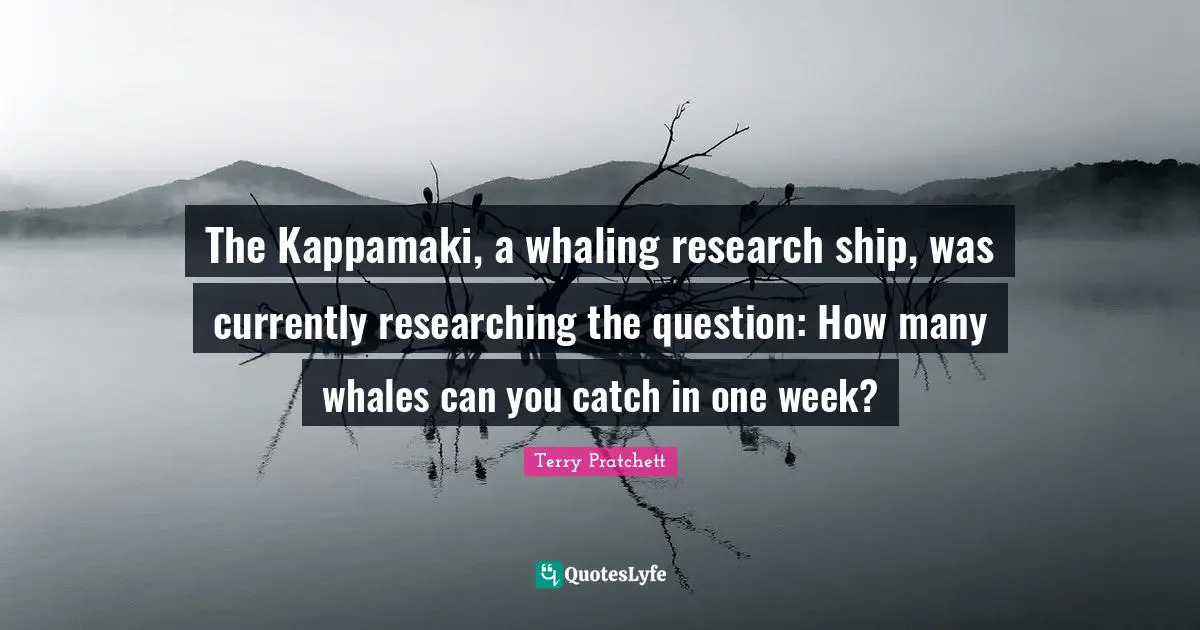 The Kappamaki, a whaling research ship, was currently researching the question: How many whales can you catch in one week?