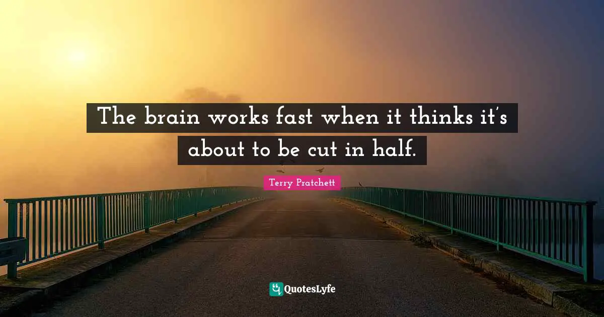 The brain works fast when it thinks it’s about to be cut in half.