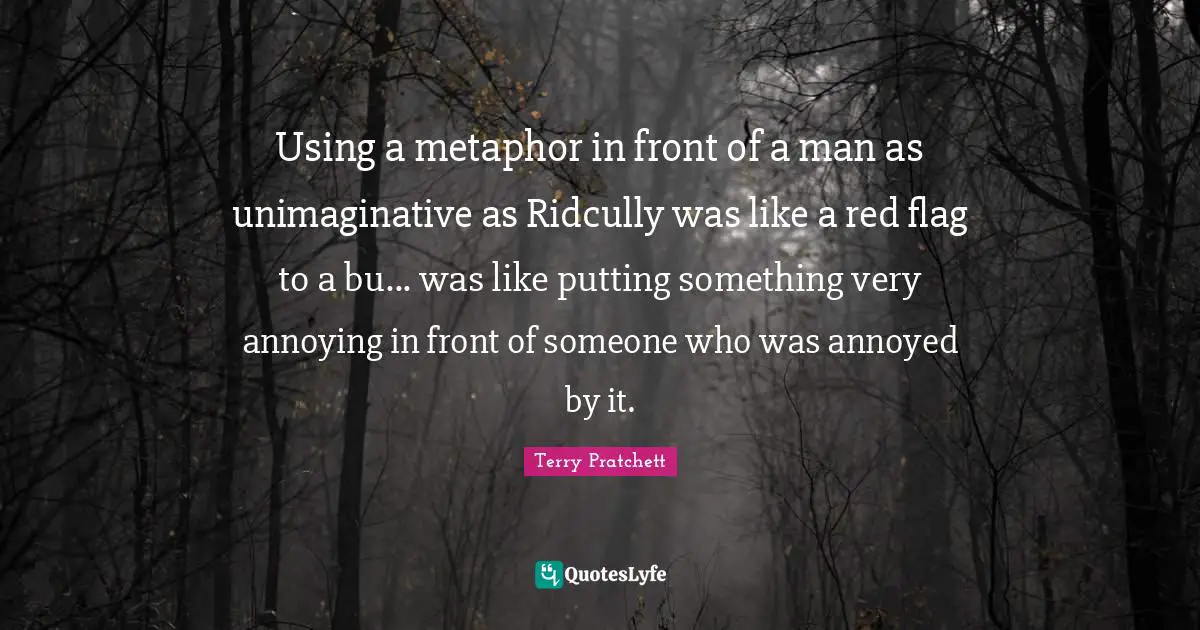 Using a metaphor in front of a man as unimaginative as Ridcully was like a red flag to a bu... was like putting something very annoying in front of someone who was annoyed by it.