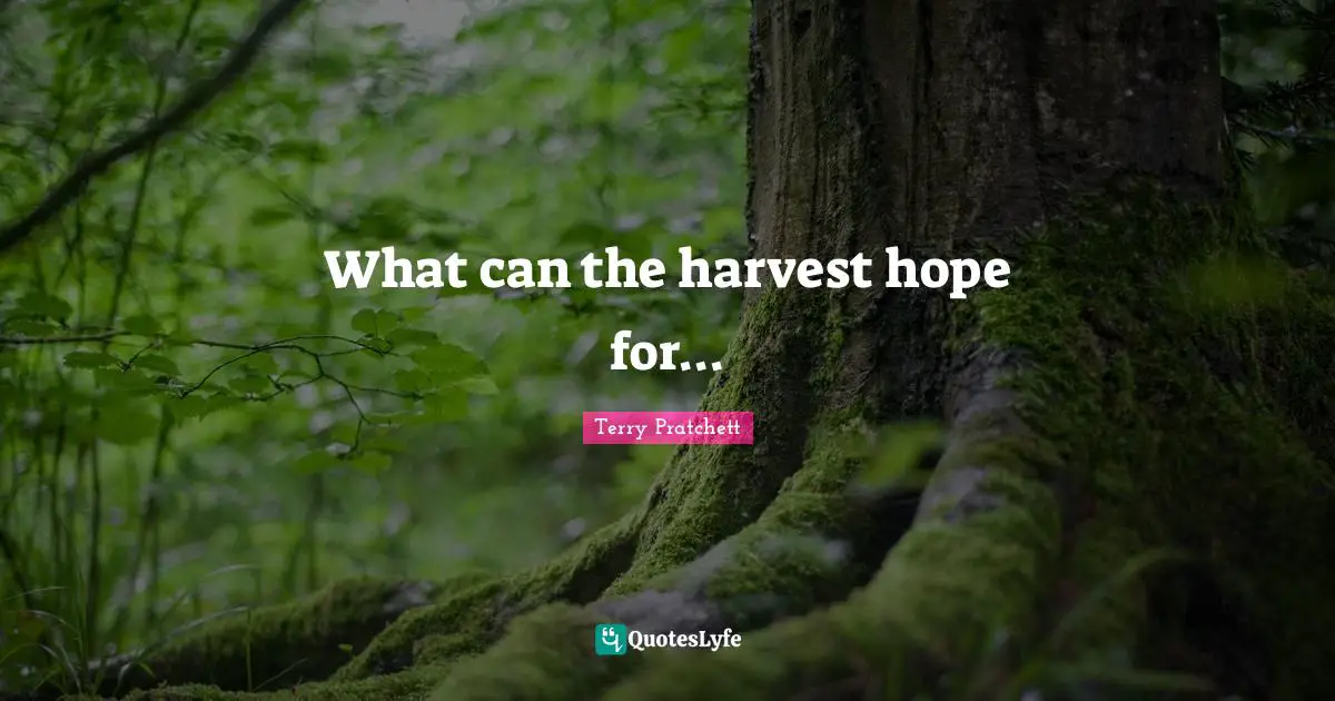 What can the harvest hope for...