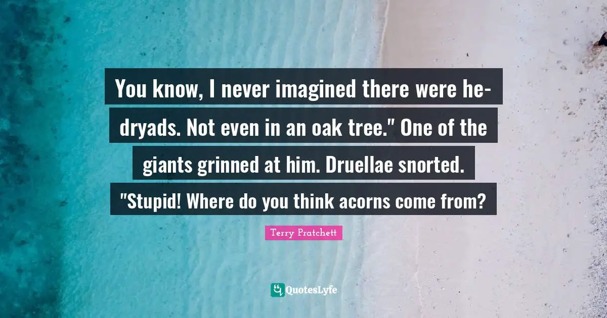 You know, I never imagined there were he-dryads. Not even in an oak tree." One of the giants grinned at him. Druellae snorted. "Stupid! Where do you think acorns come from?
