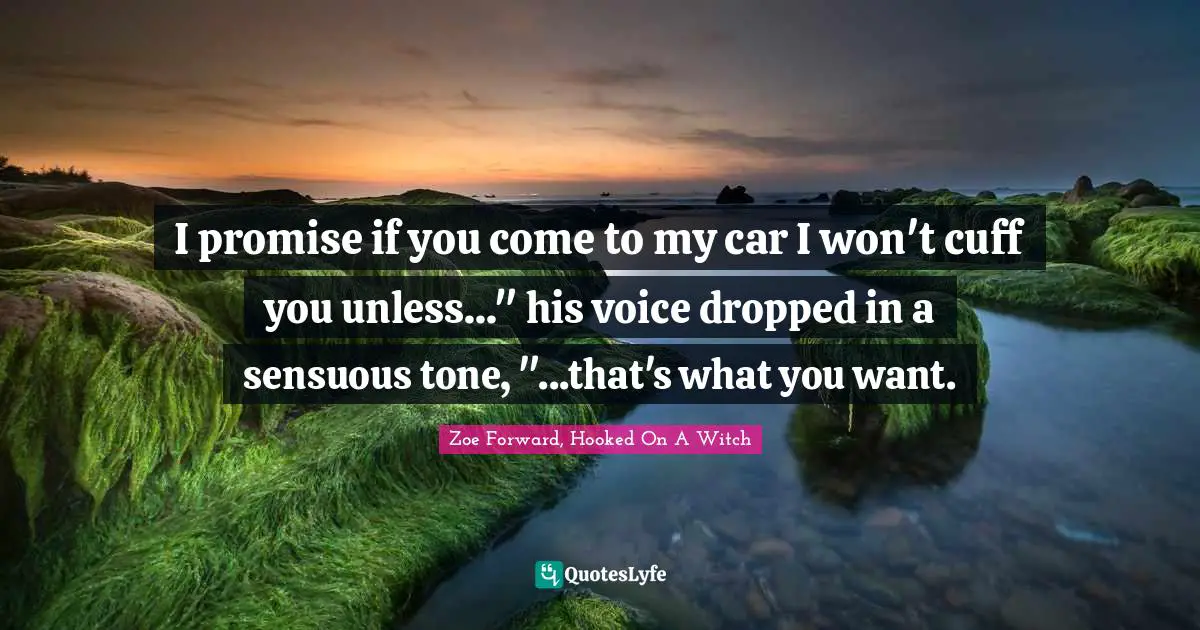 I promise if you come to my car I won't cuff you unless..." his voice dropped in a sensuous tone, "...that's what you want.