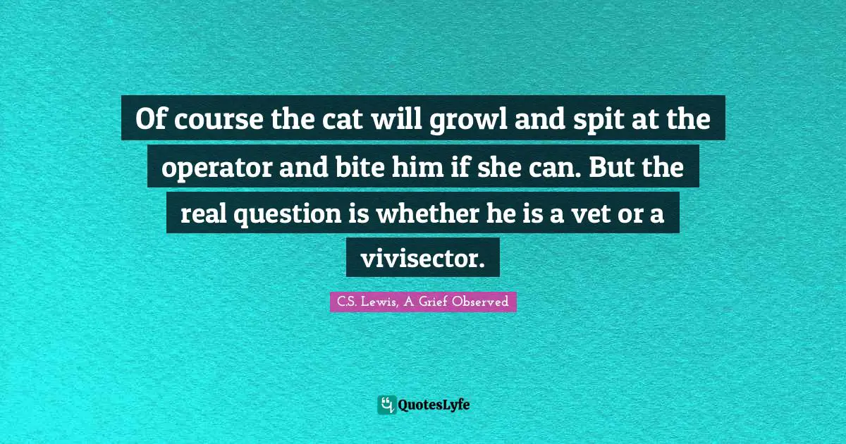 Of course the cat will growl and spit at the operator and bite him if she can. But the real question is whether he is a vet or a vivisector.