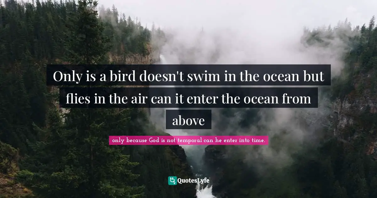 Only is a bird doesn't swim in the ocean but flies in the air can it enter the ocean from above