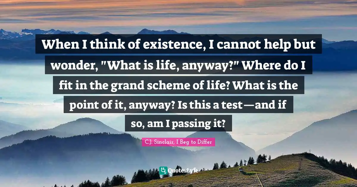 When I think of existence, I cannot help but wonder, "What is life, anyway?" Where do I fit in the grand scheme of life? What is the point of it, anyway? Is this a test—and if so, am I passing it?