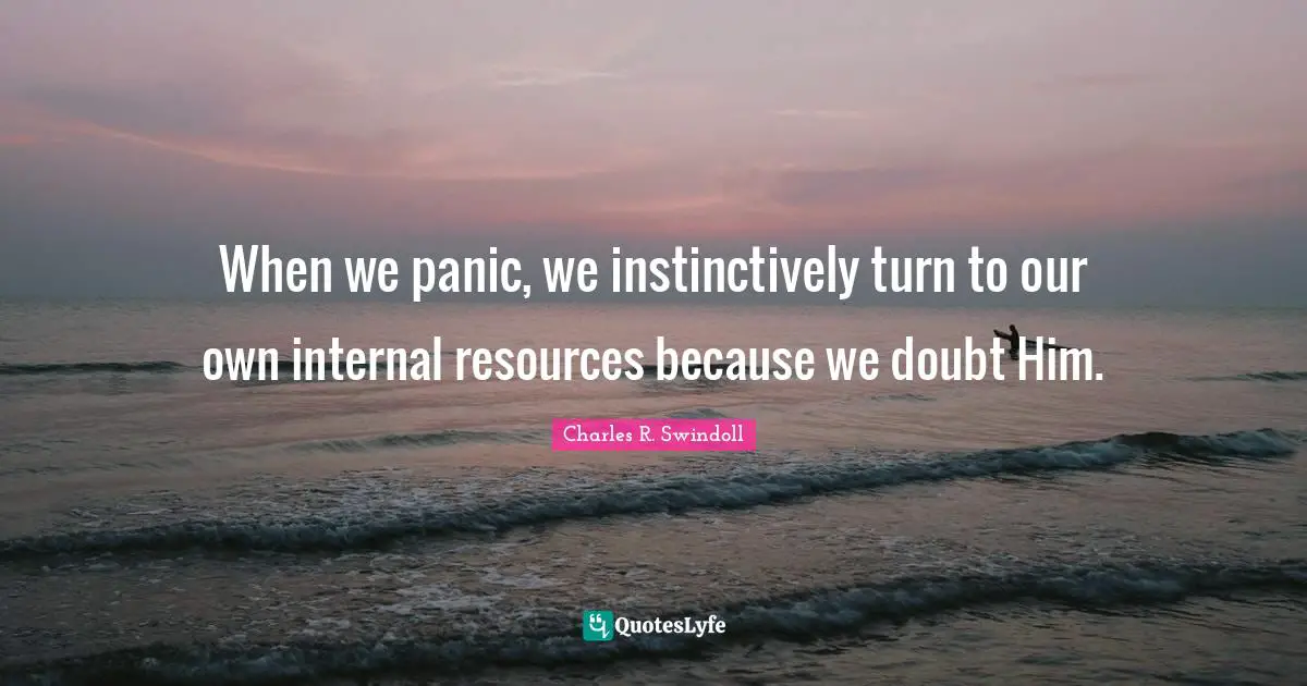 When we panic, we instinctively turn to our own internal resources because we doubt Him.
