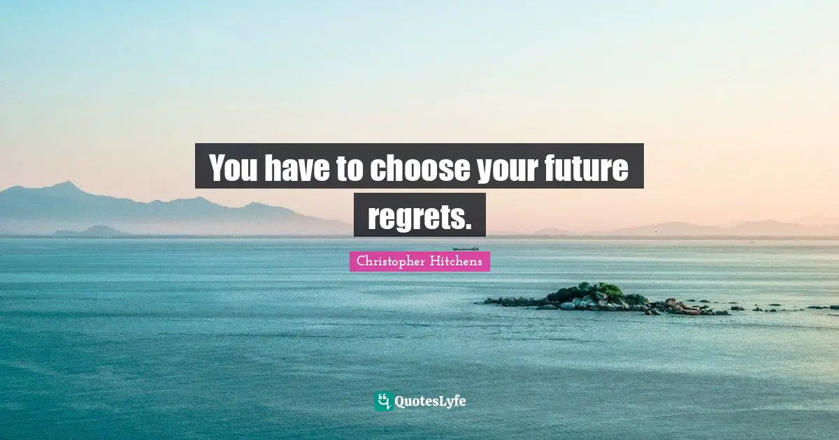 You have to choose your future regrets.