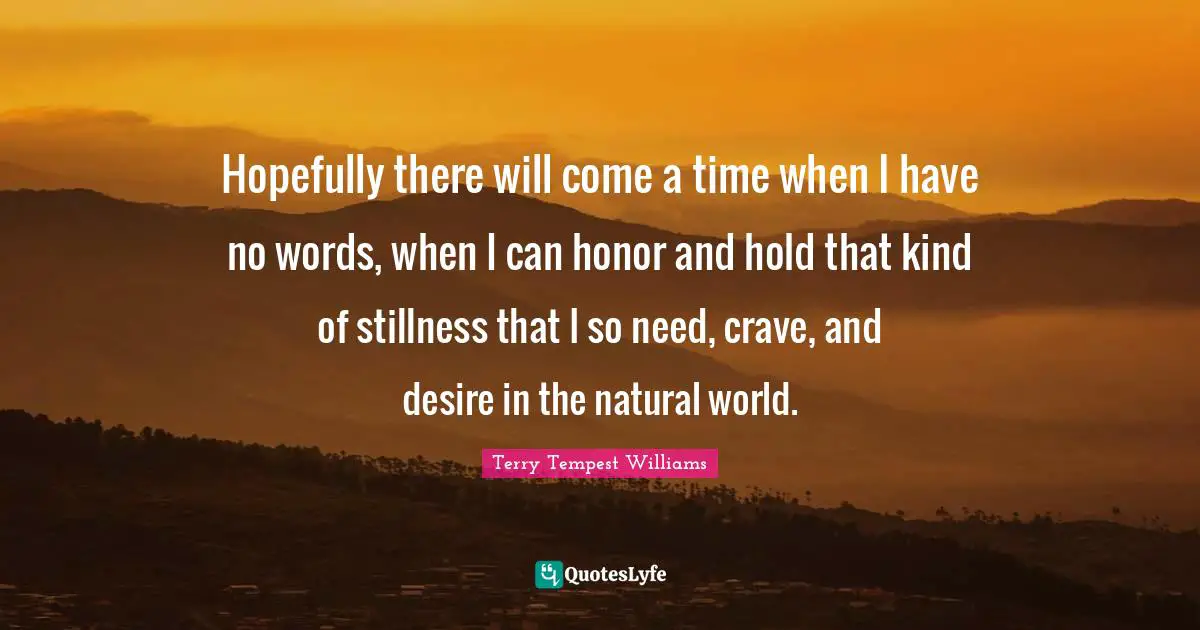 Hopefully there will come a time when I have no words, when I can honor and hold that kind of stillness that I so need, crave, and desire in the natural world.